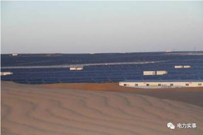 世界最大太陽能電站并非死亡禁區，風能發電同樣面臨生態挑戰